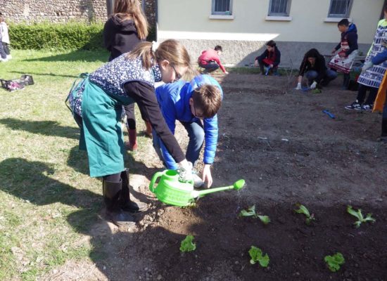 Altri scatti del nostro orto di classe