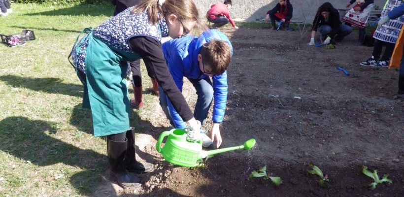 Altri scatti del nostro orto di classe